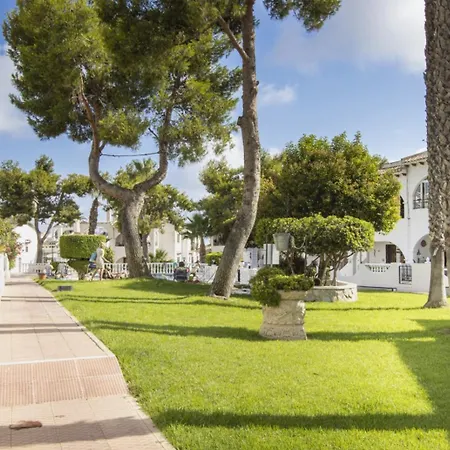 Alegria 59 Ancora * Torrevieja