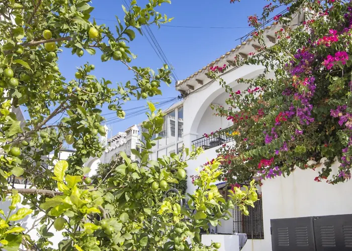 Alegria 59 Ancora Torrevieja